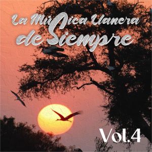 Listen to Maravillosa Mujer song with lyrics from Javier manchego