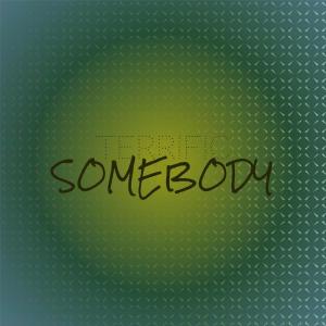 Album Terrific Somebody oleh Various