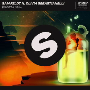 收聽Sam Feldt的Wishing Well (feat. Olivia Sebastianelli)歌詞歌曲