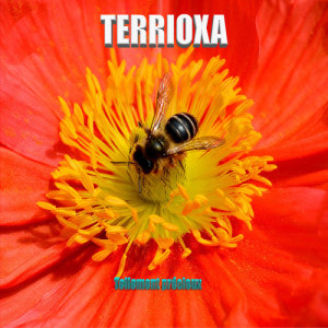 收聽TERRIOXA的Destructeurs歌詞歌曲