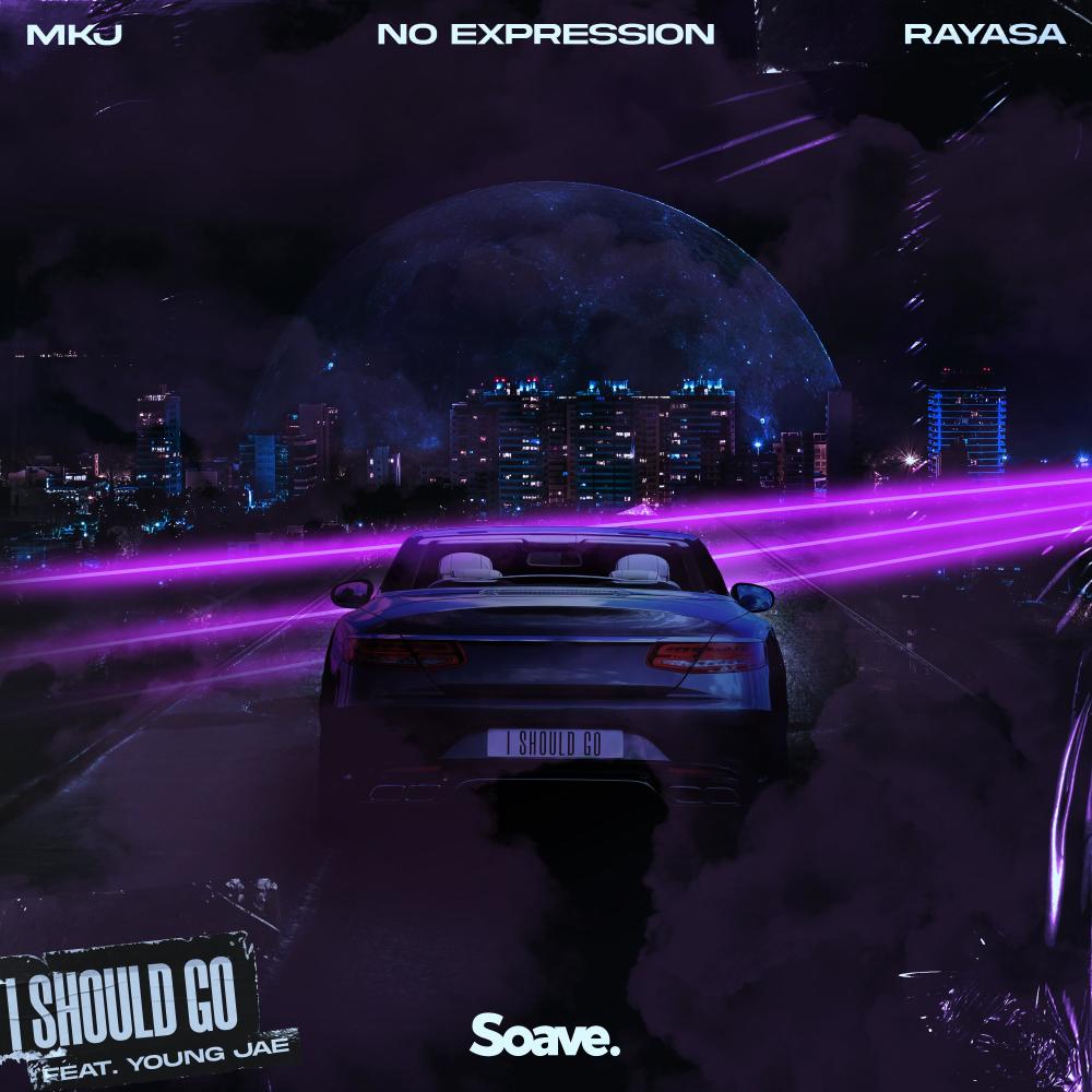 I Should Go (feat. Young Jae)
