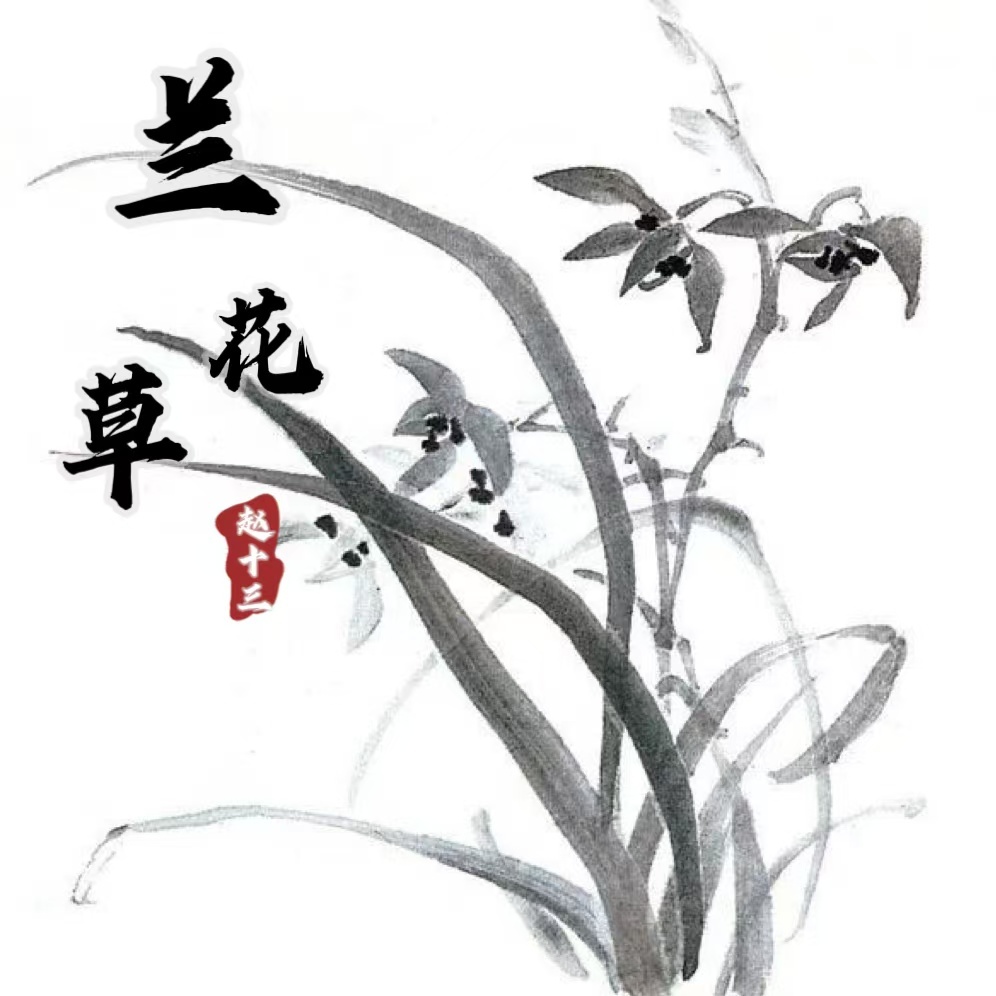 兰花草