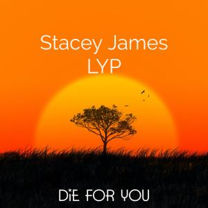 Album Die For You from Stacey James
