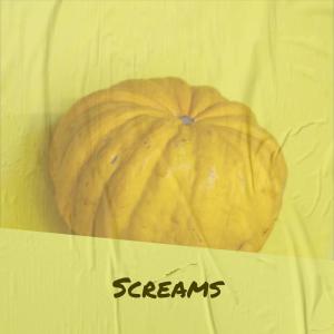Various的专辑Screams