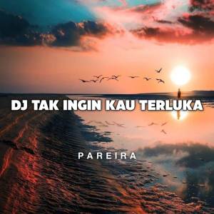 Album DJ BREAKBEAT TAK INGIN KAU TERLUKA REMIX oleh Pareira