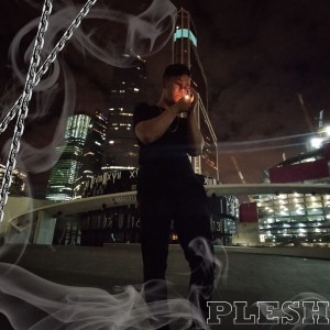 Album Я иду наверх from Plesh