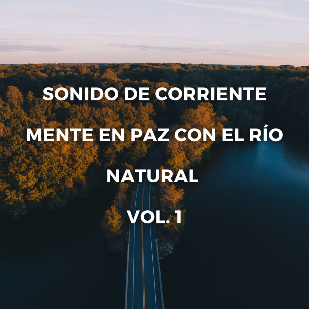 Pensamientos En La Corriente