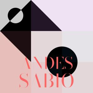 Album Andes Sabio from Various