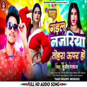Sujeet Parwana的專輯Gadal Najariya Tohra Upar Ho