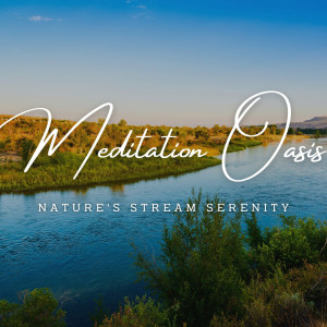 River's Meditation Oasis: Nature's Stream Serenity (ASMR)