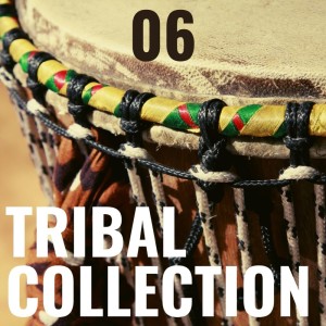 Tribal Collection Vol.6 dari Various Artists