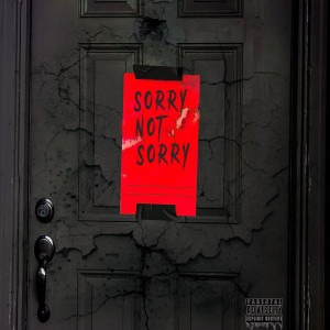 Dengarkan lagu Sorry Not Sorry (Explicit) nyanyian Briawna dengan lirik