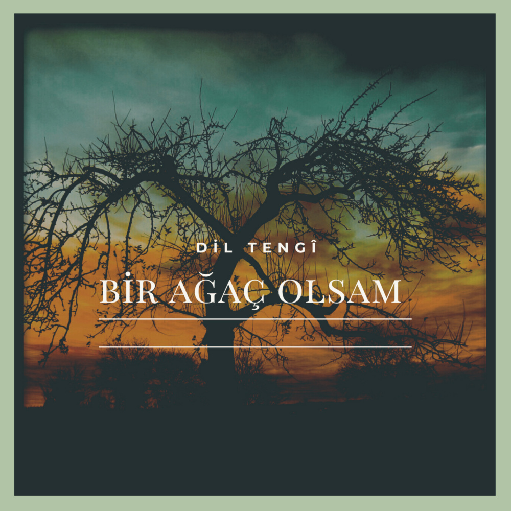 Bir Ağaç Olsam (Keman Versiyon)