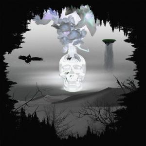 Album Silent Forest from 