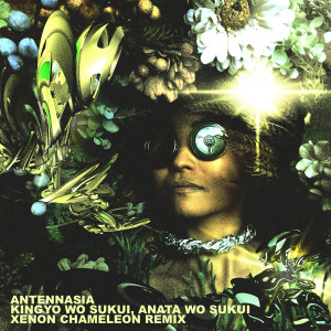 收聽antennasia的Kingyo wo Sukui, Anata wo Sukui (Xenon Chameleon Remix)歌詞歌曲