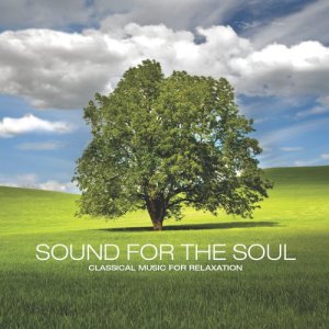 ดาวน์โหลดและฟังเพลง Ave Maria (其他) พร้อมเนื้อเพลงจาก Yuri Sazonoff