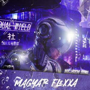 收聽Magyar Flexxa的Nejsem Siri (Explicit)歌詞歌曲
