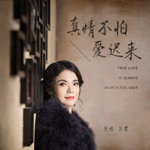 收听蒋婴的真情不怕爱迟来 (完整版)歌词歌曲