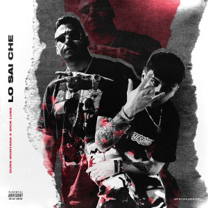 Album Lo sai che from Duke Montana