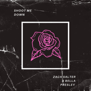Album Shoot Me Down from Zach Salter