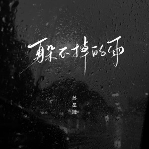 躲不掉的雨