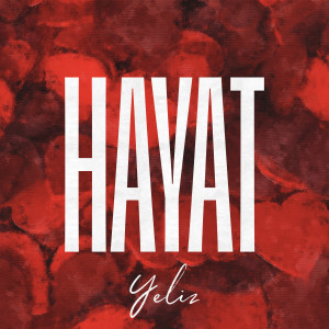 Yeliz的專輯Hayat