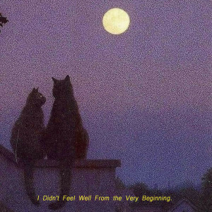 Listen to I Didn't Feel Well from the Very Beginning song with lyrics from slmnMORE