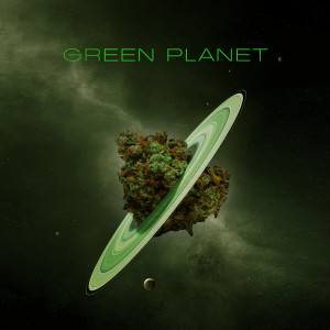 ดาวน์โหลดและฟังเพลง Tão Bom พร้อมเนื้อเพลงจาก Green Planet