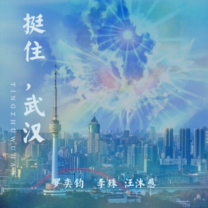 Listen to 挺住，武汉 (伴奏) song with lyrics from 李殊