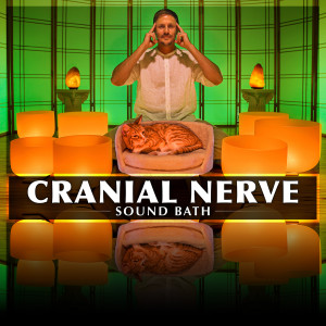 Healing Vibrations的专辑Cranial Nerve Sound Bath