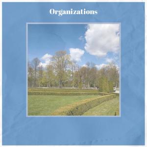 Listen to Organizations song with lyrics from Jaka Propht