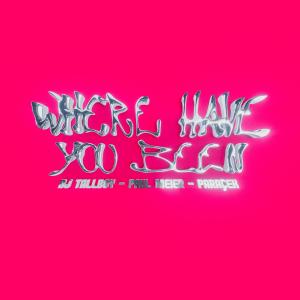 ดาวน์โหลดและฟังเพลง Where Have You Been พร้อมเนื้อเพลงจาก DJ Tallboy
