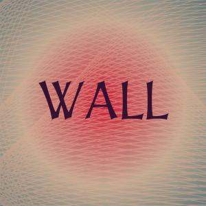 อัลบัม Wall ศิลปิน Silvia Natiello-Spiller