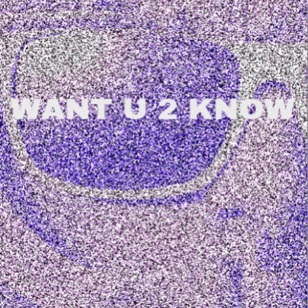 Want U 2 Know (feat. Amvis)