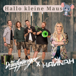 Die Draufgänger的專輯Hallo kleine Maus