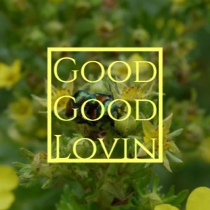 收聽The Lana Sisters的Chimes of Arcady歌詞歌曲