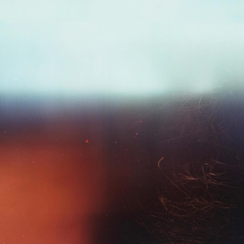 In the shadow of the Wild Fig (Revisited) (feat. Guy Buttery, Nibs Van Der Spuy, Gareth Gale, Clare Vandeleur & Jonas Bonnetta)