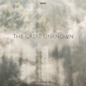 Album The Great Unknown (Christian Reindl Remix) from Dominique Gilbert