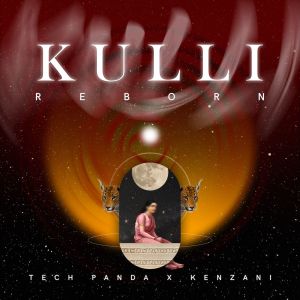 Album Kulli Reborn (Radio Edit) from Tech Panda