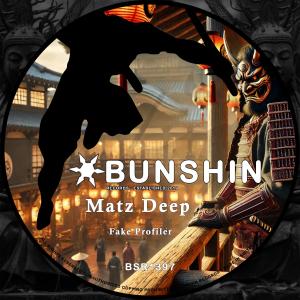ดาวน์โหลดและฟังเพลง Fake Profiler พร้อมเนื้อเพลงจาก Matz Deep