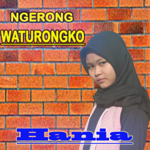 Listen to Ngerong Waturongko song with lyrics from Hania