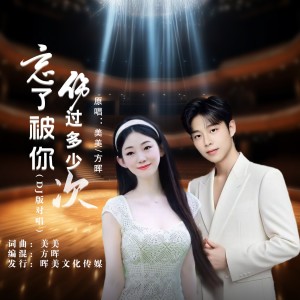 Album 忘了被你伤过多少次（DJ版对唱） from 美美