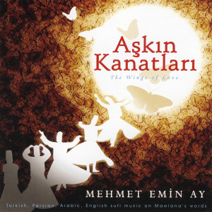 ดาวน์โหลดและฟังเพลง Duy Şikayet Etmede Her An Bu Ney พร้อมเนื้อเพลงจาก Mehmet Emin Ay