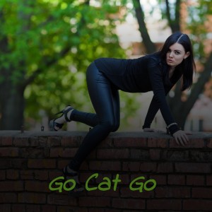Album Go Cat Go from 
