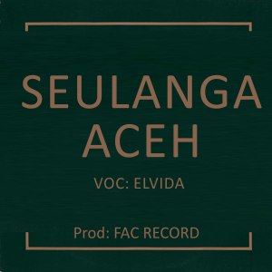 收听ELVIDA的Seulanga Aceh歌词歌曲