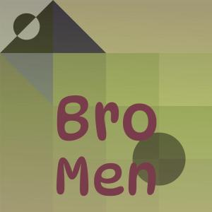 Various Artists的專輯Bro Men