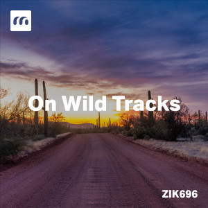 Album On Wild Tracks from Rémy Sarrazin