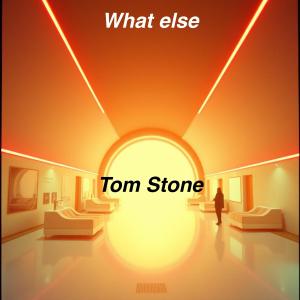 收聽Tom Stone的What else (Radio Edit)歌詞歌曲