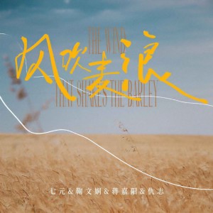 Listen to 风吹麦浪 song with lyrics from 群星