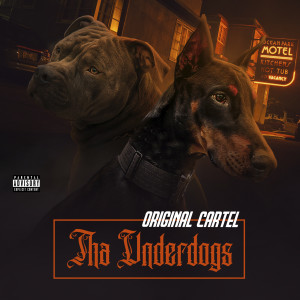 收聽Original Cartel的Sicc Dogs (其他)歌詞歌曲